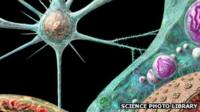 An artist's representation of a brain prion