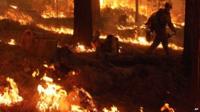 Wildfires