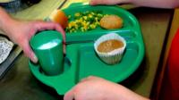 Child holding school lunch tray