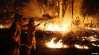Fire fighters tackle wildfire