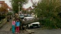 A news report of the great storm