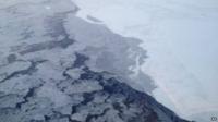 Arctic sea ice