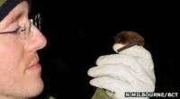 Daniel Hargreaves holds the Nathusius' pipistrelle