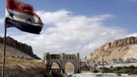 Syria flag