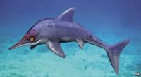 An artist's impression of an ichthyosaur
