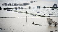 flooded fields