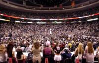 Wing Bowl