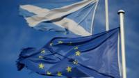 EU flag and Saltire