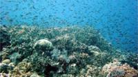 Great Barrier Reef