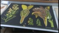 Poster IBERS