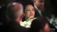 China's First Lady Peng Liyuan attends a luncheon in Auckland, New Zealand on 21 November, 2014