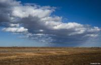 American landscape