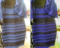 The blueblackgoldwhite dress