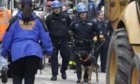 A police search dog arrives at the scene on Friday