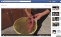 Facebook baby video