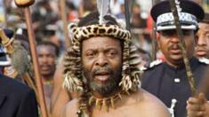 Zulu King Goodwill Zwelithini
