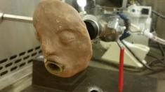 A 'vomit machine' developed by North Carolina State University