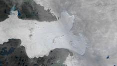 Glacier