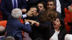 Members of Turkey's governing AK party and pro-Kurdish opposition politicians fight in parliament