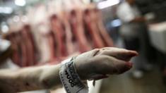 Fiscalização de carne em SP