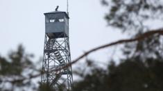 A watchtower at the government owned complex