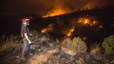 A firefighter looks at the forest fire burning in Canon de Almadenes, one of three sites consumed by fire in Cieza, southeastern Spain, early 7 August 2015