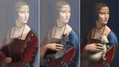 Nghiên cứu khoa học cho thấy da Vinci vẽ bức Người đàn bà và con chồn qua ba giai đoạn, và thêm con chồn ở các giai đoạn sau.