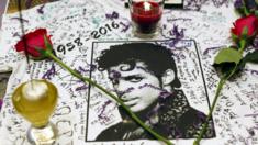 Prince tributes