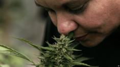 on July 7, 2015 Chile