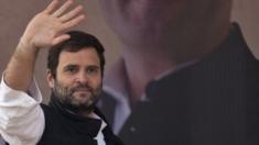 Indian police kill 20 suspected red sandalwood smugglers - BBC News