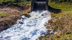 Rivers can become polluted from farms, roads and sewage works