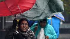 Pedestrians shelter under umbrellas from heavy rain in Sydney, Australia, 20 April 2015.