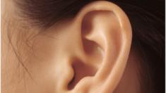 An ear