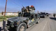 Iraqi security forces ride in a military vehicle with a police dog in the town of al-Alam March 10, 2015