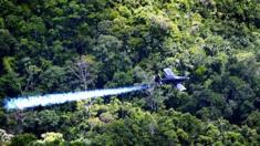 Colombian police fumigation plane