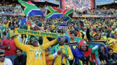 South African fans, 2010