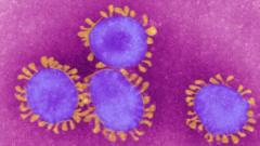 Coronavirus Qué es un virus endémico en lo que se podría convertir