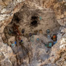 Desierto de Sonora (Foto: Michael Wells)