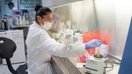 Laboratorio en México.