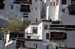 Jóvenes monjes en recreo en el monasterio Thiksey, India.