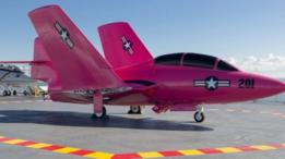 Avión rosado