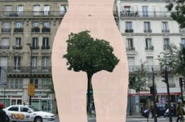 Obra de Sandrine Boulet en Paris