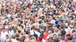 Multitud