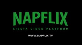 Logo de Napflix