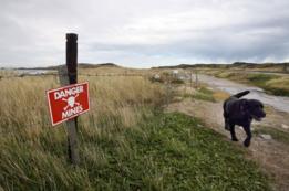 Bahía Surf en 2007, antes de ser desminada. Malvinas/Falklands.