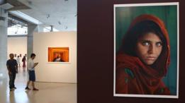 La foto de Gula expuesta en una galería