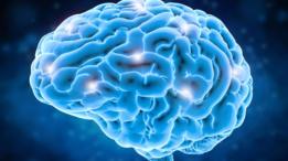 Cerebro