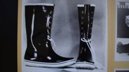 Botas