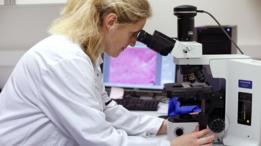 Laboratorio