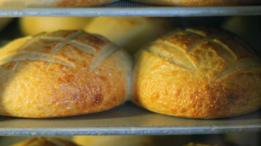 Pan en el horno